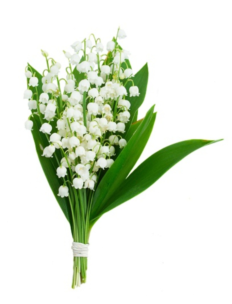 florists bouquets  / bridal bouquets