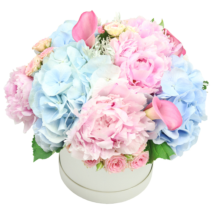 An exquisitely luxurious arrangement sits in a light grey, matte round hatbox, the box itself a quiet frame for a voluminous, romantic bouquet. The composition is a refined blend of pastel pink and soft baby blue blooms, densely packed to create a lush, dome-shaped sculpture. Dominating the display are those large, fluffy pink peonies, their layers of ruffled petals catching the light in blush tones. Interspersed are generous clusters of baby blue hydrangeas, their delicate florets adding airiness and a cool contrast to the pinks. Two hot-pink calla lilies rise like jewelled trumpets above the rest, giving height and a striking focal point. Closer to the rim, tightly budded spray roses in pale pink add an extra texture and a sweet, classic note. A touch of silvery foliage-dusty miller-and fresh green leaves peek through, providing depth and a natural, wintry-spring feel. The overall aesthetic is one of refined elegance and quiet drama, suitable as a centerpiece for weddings, anniversaries, or lavish birthdays, and equally at home in a stylish home setting. The clean, white background highlights the bouquet's generous scale and the craftsmanship behind its shaping and color balancing. This is a thoughtful gift that speaks of romance, celebration, and the joy of gifting, with delivery across Somers Town and surrounding areas to bring a touch of luxury to local celebrations.