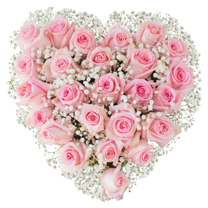 This image presents a meticulously formed heart of soft pastel pink roses, each bloom selected and positioned to create a contiguous, luxurious surface that feels almost tactile through the photograph. Approximately two to three dozen roses - their shades varying from an almost-white blush to a warm rose-petal hue - are arranged in tight clusters so the petals overlap like scales, producing a rich, velvety texture across the heart. Interspersed among the roses are innumerable sprigs of white gypsophila; the tiny star-like flowers float between the larger blooms, their lace-like presence softening the composition and adding bright punctuation points that lift the overall design against the stark white backdrop. The lighting is bright and even, removing harsh shadows while accentuating petal structure and dew-fresh edges, so each rose reveals its stage of bloom from bud to half-open cup. The scent suggested by the image is clean and floral, a gentle rose perfume tempered by the airy, green notes of the baby's breath. The craftsmanship is evident in the symmetry and density - a careful balance between fullness and lightness that makes the heart read as both a romantic gift and a solemn, elegant tribute. Seen through the eyes of a Somers Town florist used to arranging for nearby events around Ossulston Street and the community spaces close to Euston Road, this bouquet communicates devotion, tenderness, and an understated refinement that suits weddings, anniversaries, or quiet ceremonies.